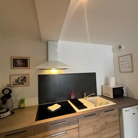 Apartament 10 Min Gare *